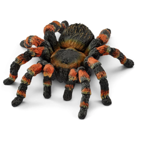 Tarántula