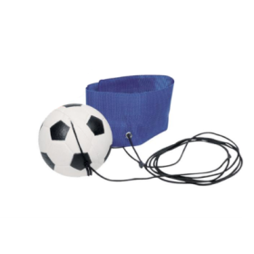Pelota De Goma Con Cuerda